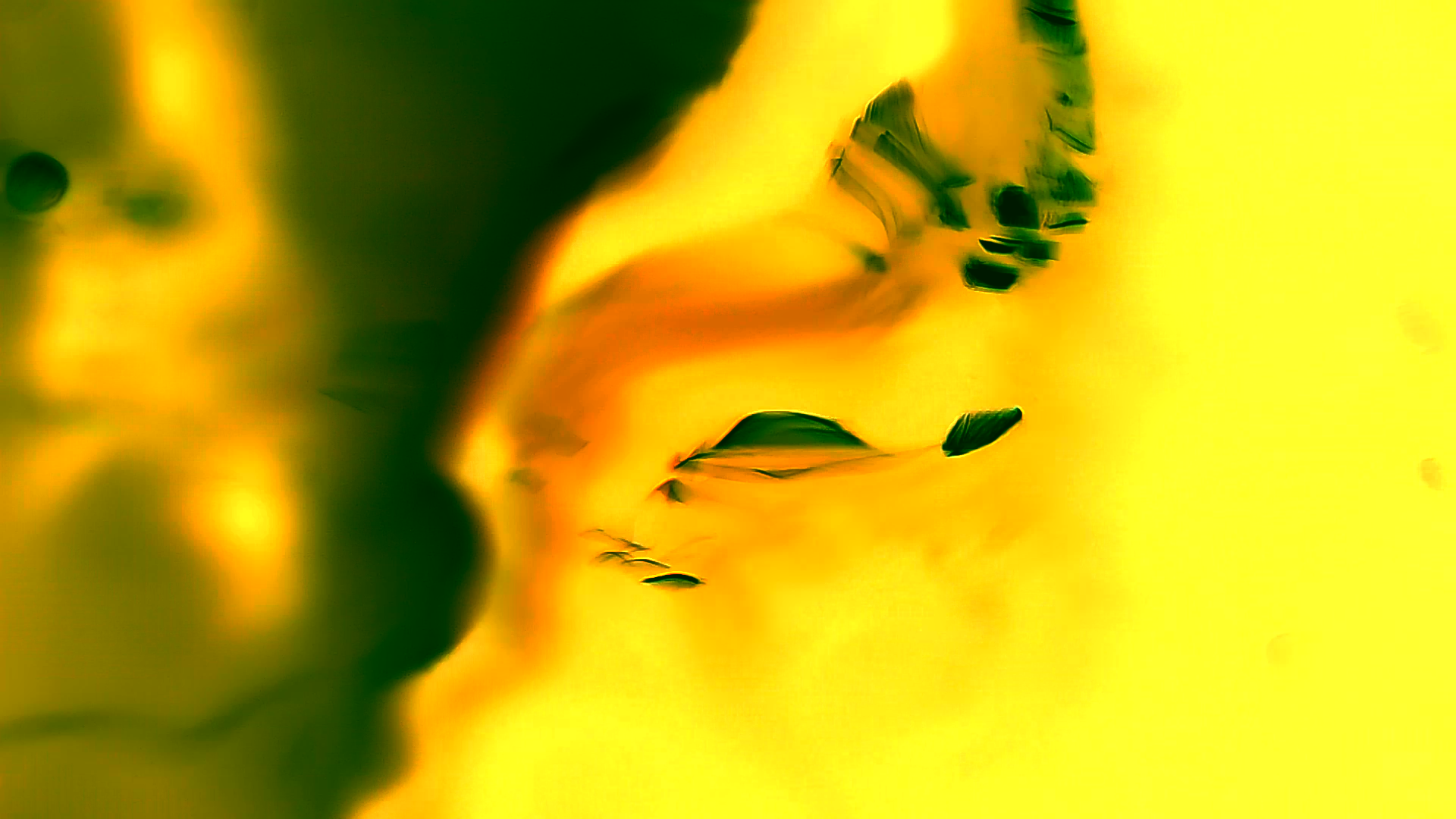 Captura de pantalla 2025-12-21 190323