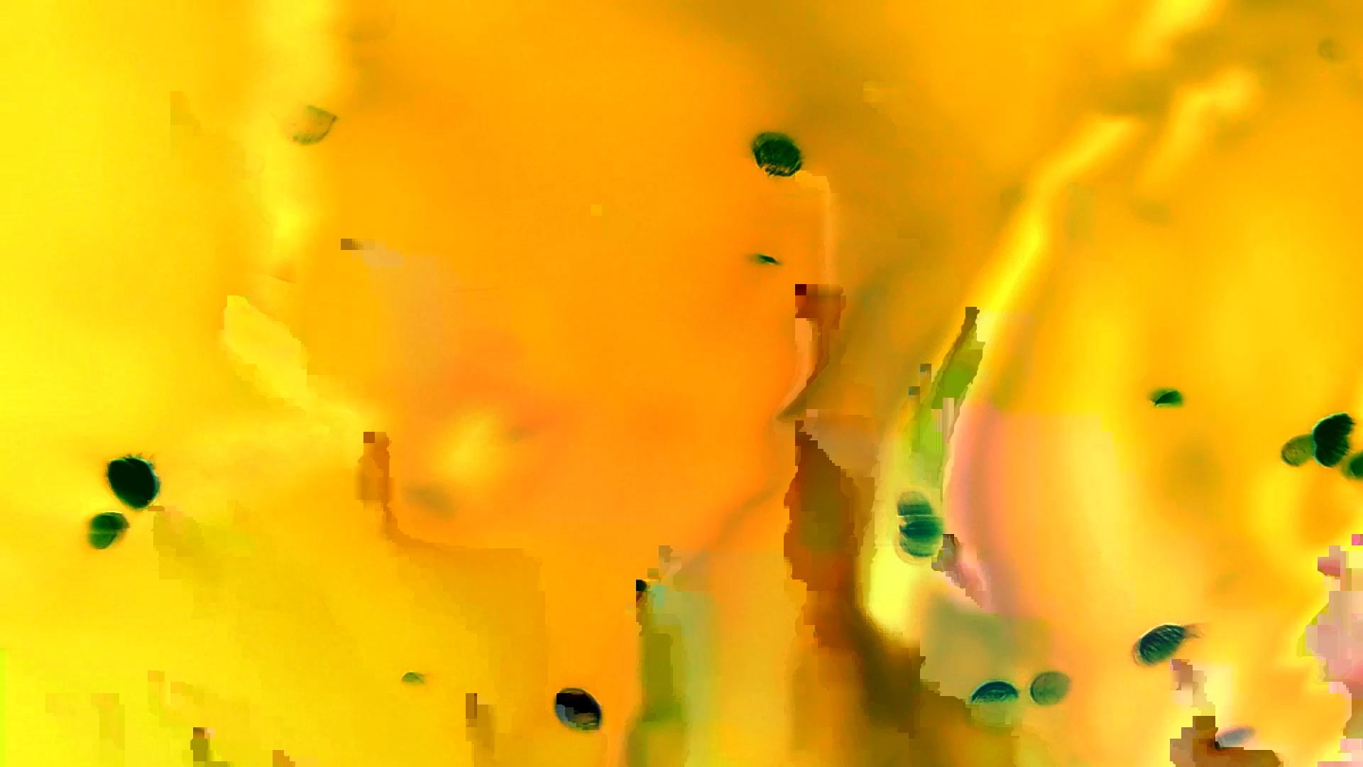 Captura de pantalla 2025-12-21 200803